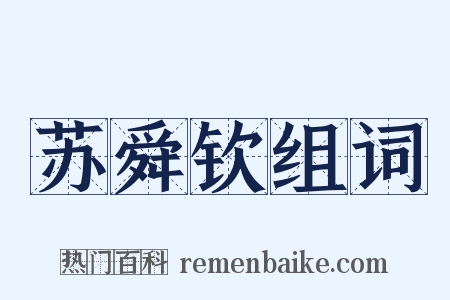 苏舜钦组词是什么意思的图片